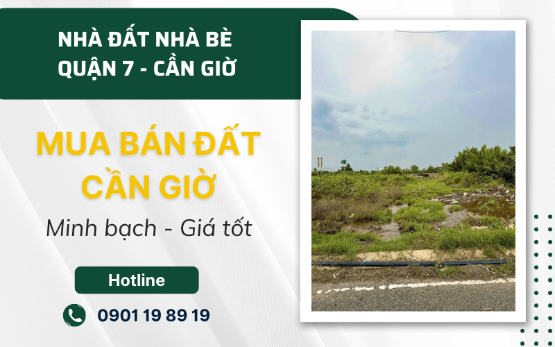 mua bán đất Cần Giờ